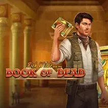 Book of Dead slot game